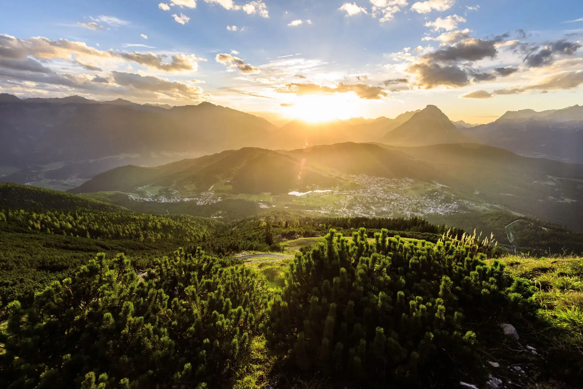 Welcome to the Wilderer Group